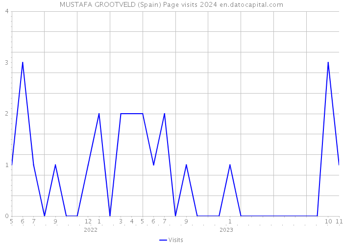 MUSTAFA GROOTVELD (Spain) Page visits 2024 