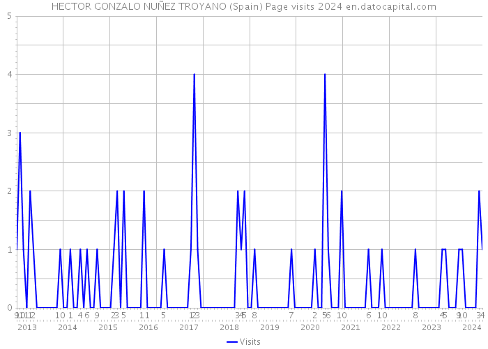 HECTOR GONZALO NUÑEZ TROYANO (Spain) Page visits 2024 