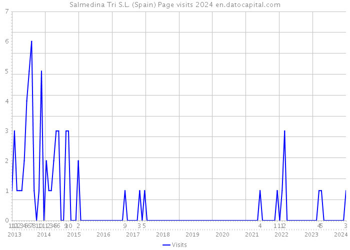 Salmedina Tri S.L. (Spain) Page visits 2024 