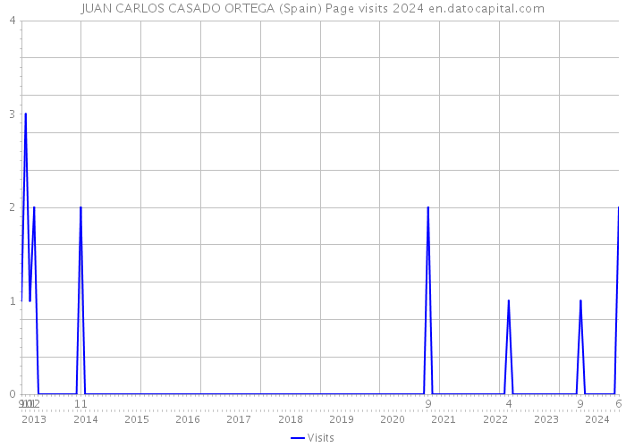 JUAN CARLOS CASADO ORTEGA (Spain) Page visits 2024 