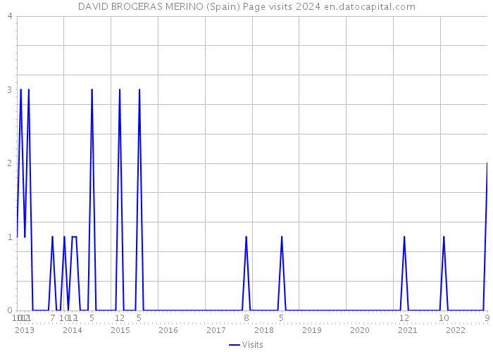DAVID BROGERAS MERINO (Spain) Page visits 2024 