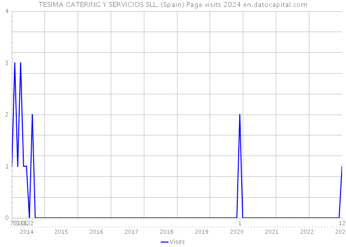 TESIMA CATERING Y SERVICIOS SLL. (Spain) Page visits 2024 
