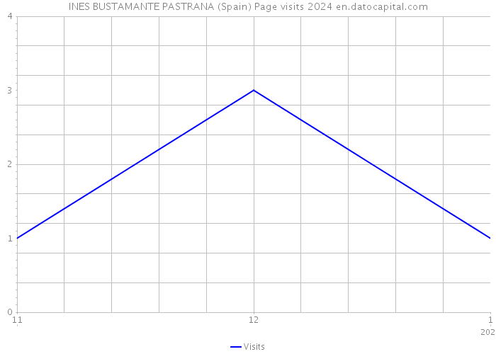 INES BUSTAMANTE PASTRANA (Spain) Page visits 2024 