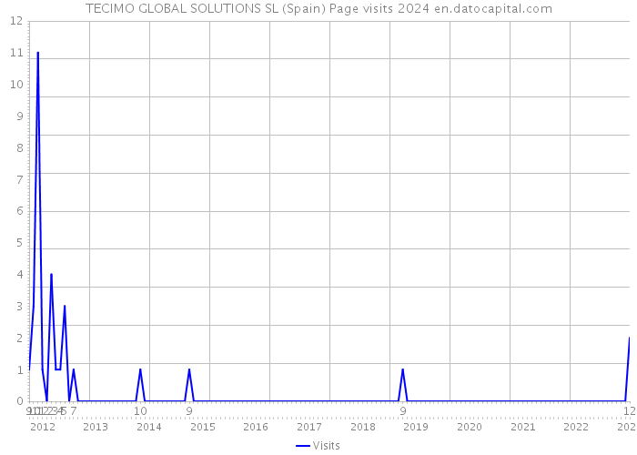 TECIMO GLOBAL SOLUTIONS SL (Spain) Page visits 2024 