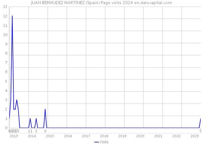JUAN BERMUDEZ MARTINEZ (Spain) Page visits 2024 