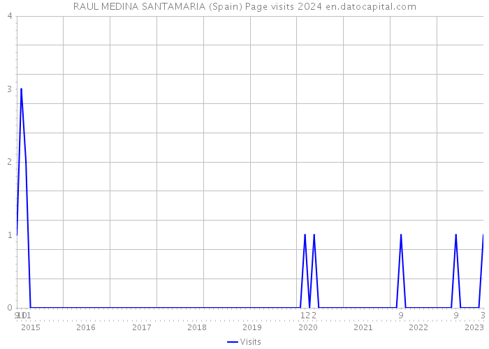 RAUL MEDINA SANTAMARIA (Spain) Page visits 2024 