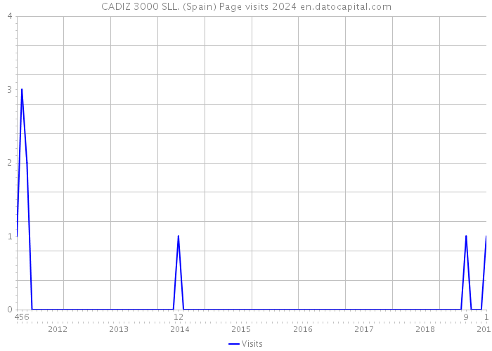 CADIZ 3000 SLL. (Spain) Page visits 2024 