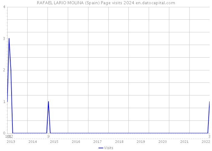 RAFAEL LARIO MOLINA (Spain) Page visits 2024 