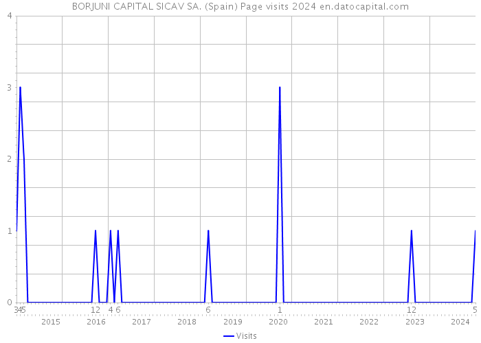 BORJUNI CAPITAL SICAV SA. (Spain) Page visits 2024 