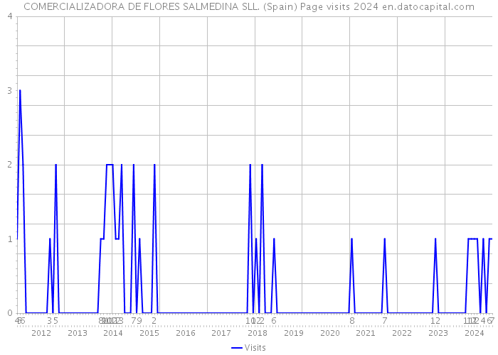 COMERCIALIZADORA DE FLORES SALMEDINA SLL. (Spain) Page visits 2024 