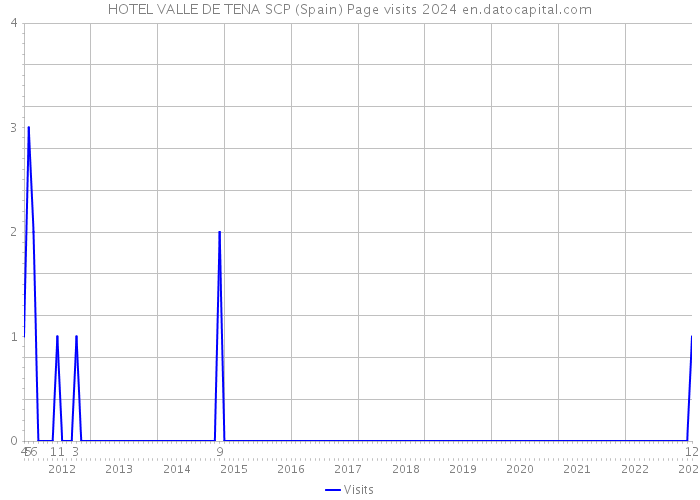 HOTEL VALLE DE TENA SCP (Spain) Page visits 2024 