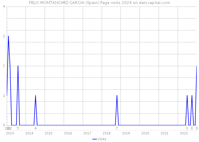 FELIX MONTANCHEZ GARCIA (Spain) Page visits 2024 
