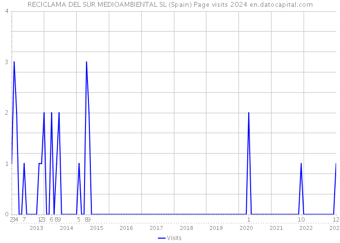 RECICLAMA DEL SUR MEDIOAMBIENTAL SL (Spain) Page visits 2024 