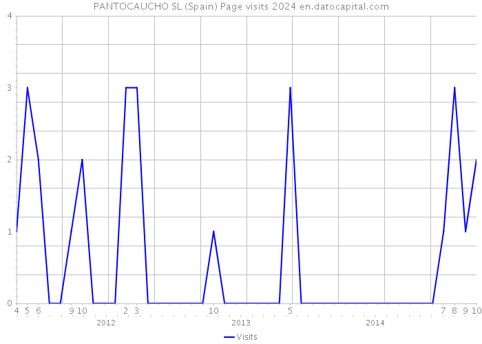 PANTOCAUCHO SL (Spain) Page visits 2024 
