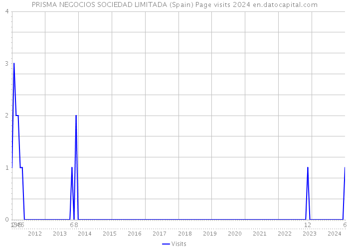 PRISMA NEGOCIOS SOCIEDAD LIMITADA (Spain) Page visits 2024 
