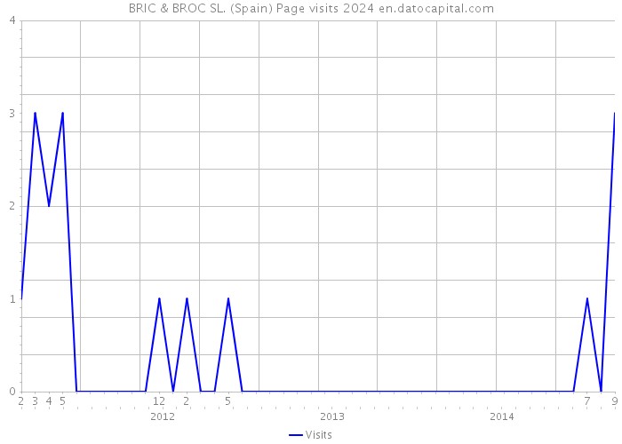 BRIC & BROC SL. (Spain) Page visits 2024 