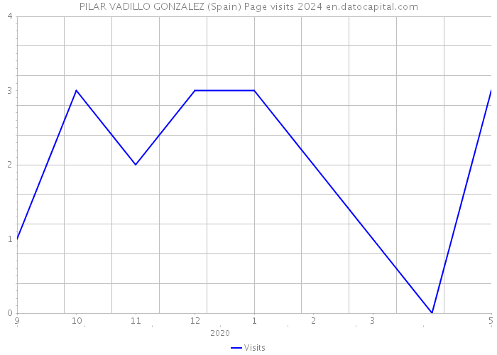 PILAR VADILLO GONZALEZ (Spain) Page visits 2024 