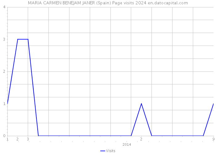 MARIA CARMEN BENEJAM JANER (Spain) Page visits 2024 