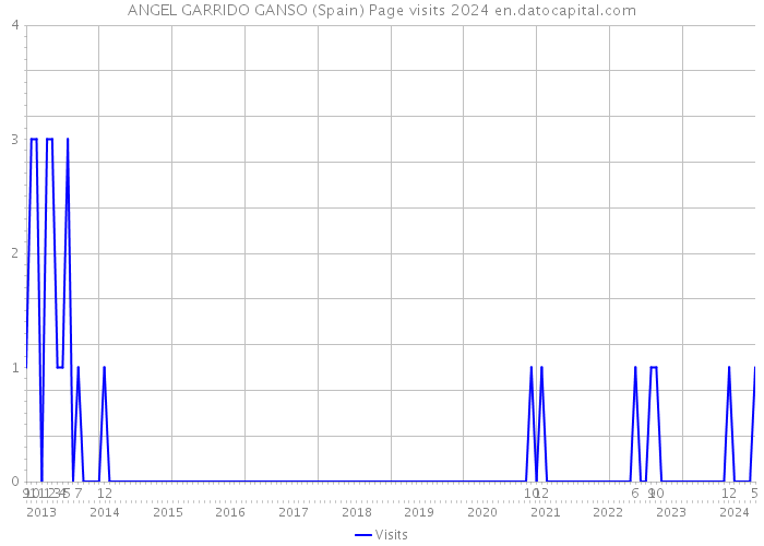 ANGEL GARRIDO GANSO (Spain) Page visits 2024 
