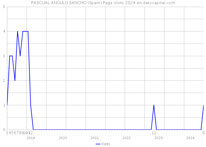 PASCUAL ANGULO SANCHO (Spain) Page visits 2024 