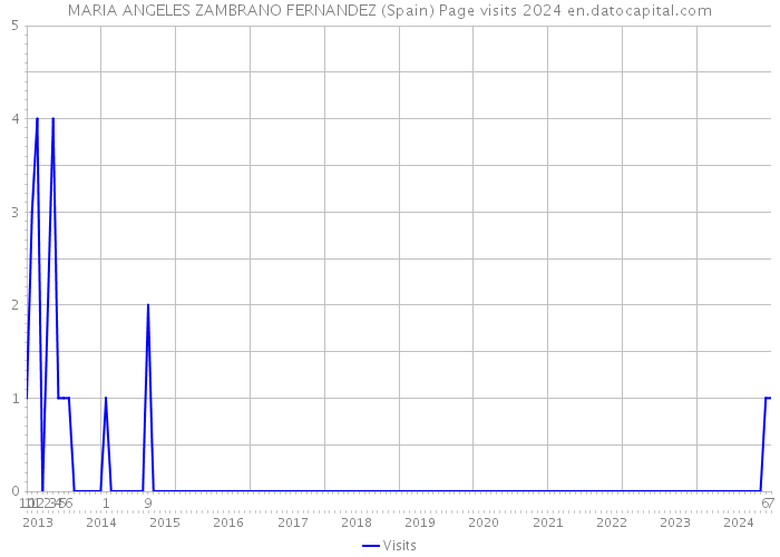 MARIA ANGELES ZAMBRANO FERNANDEZ (Spain) Page visits 2024 