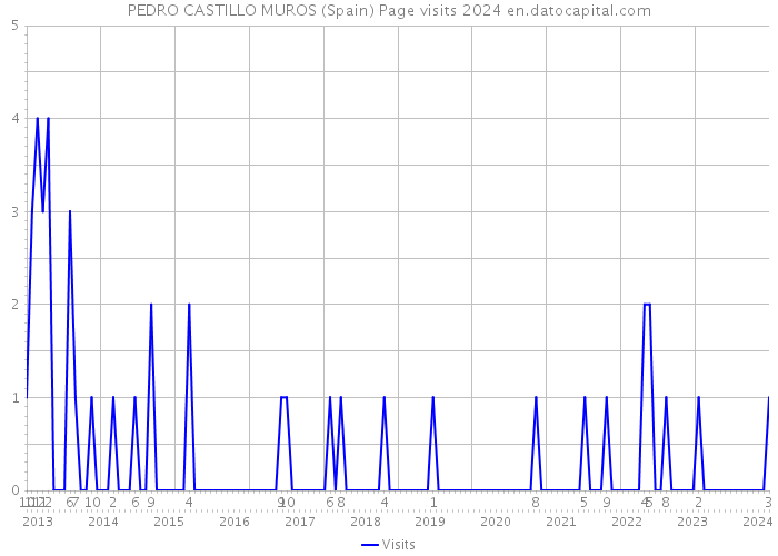 PEDRO CASTILLO MUROS (Spain) Page visits 2024 