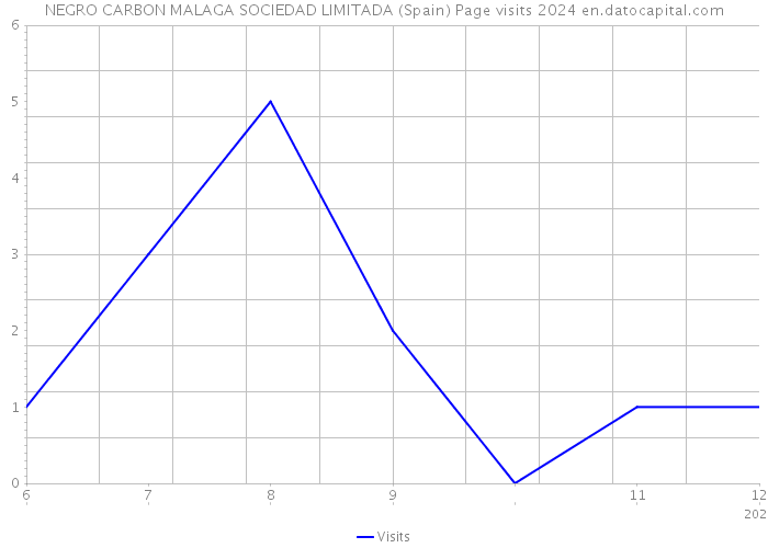 NEGRO CARBON MALAGA SOCIEDAD LIMITADA (Spain) Page visits 2024 