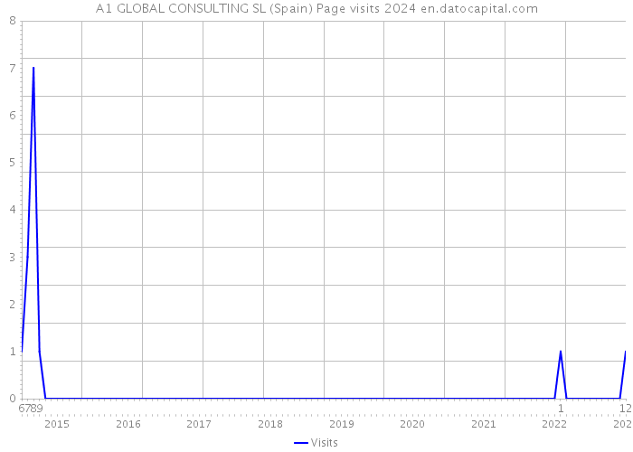 A1 GLOBAL CONSULTING SL (Spain) Page visits 2024 