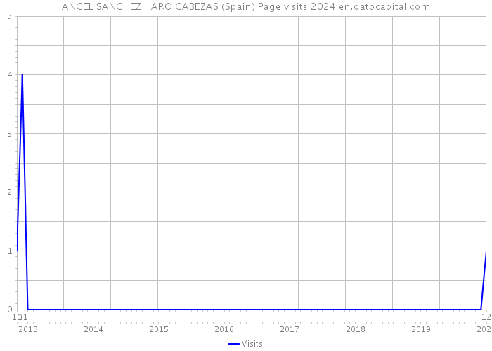 ANGEL SANCHEZ HARO CABEZAS (Spain) Page visits 2024 