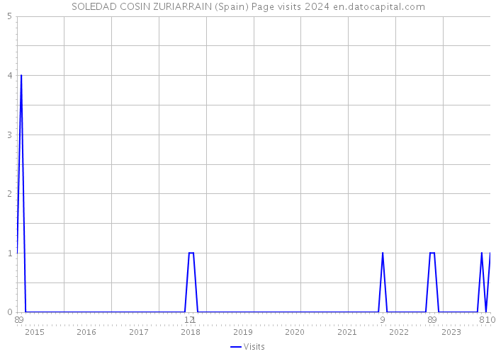 SOLEDAD COSIN ZURIARRAIN (Spain) Page visits 2024 