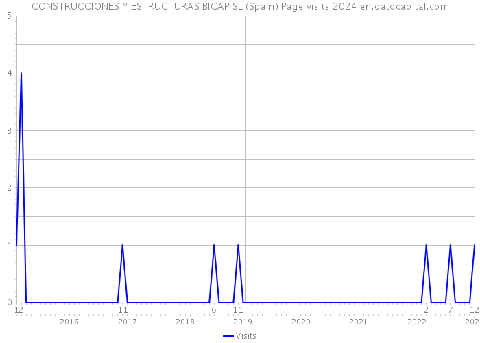 CONSTRUCCIONES Y ESTRUCTURAS BICAP SL (Spain) Page visits 2024 