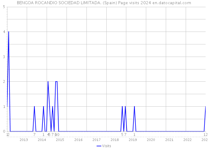 BENGOA ROCANDIO SOCIEDAD LIMITADA. (Spain) Page visits 2024 