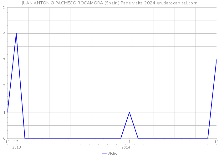 JUAN ANTONIO PACHECO ROCAMORA (Spain) Page visits 2024 