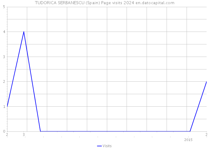 TUDORICA SERBANESCU (Spain) Page visits 2024 
