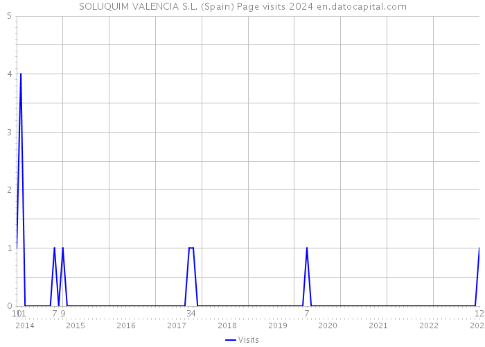SOLUQUIM VALENCIA S.L. (Spain) Page visits 2024 