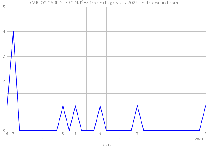 CARLOS CARPINTERO NUÑEZ (Spain) Page visits 2024 