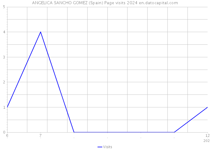 ANGELICA SANCHO GOMEZ (Spain) Page visits 2024 
