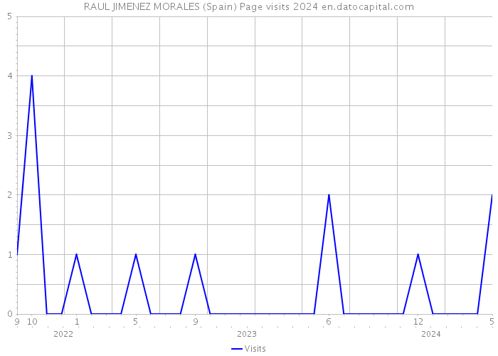 RAUL JIMENEZ MORALES (Spain) Page visits 2024 