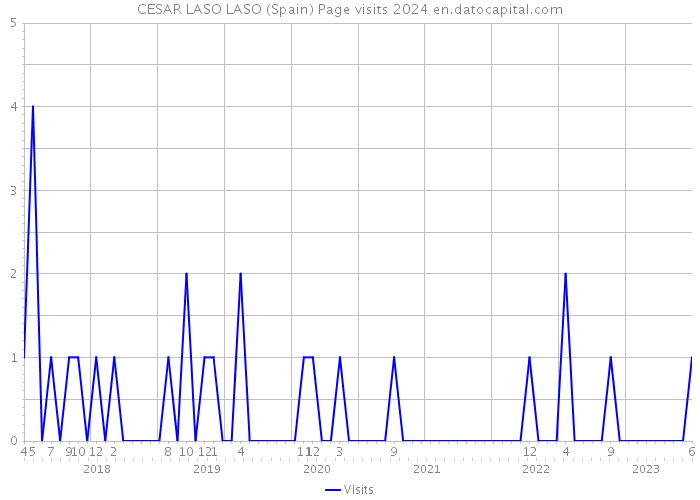 CESAR LASO LASO (Spain) Page visits 2024 