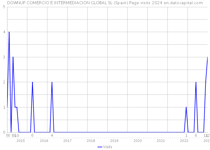 DOWNUP COMERCIO E INTERMEDIACION GLOBAL SL (Spain) Page visits 2024 