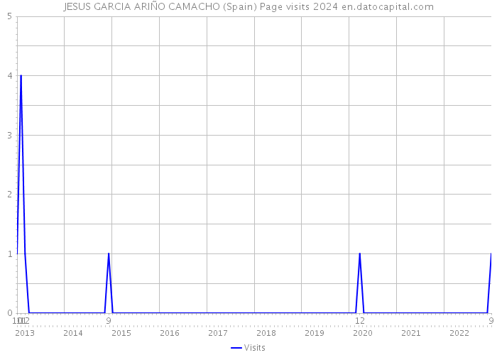 JESUS GARCIA ARIÑO CAMACHO (Spain) Page visits 2024 