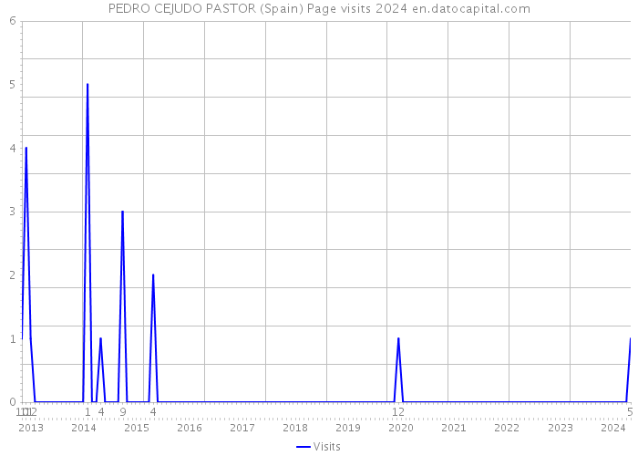 PEDRO CEJUDO PASTOR (Spain) Page visits 2024 