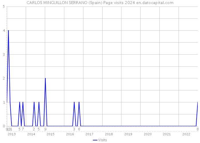 CARLOS MINGUILLON SERRANO (Spain) Page visits 2024 