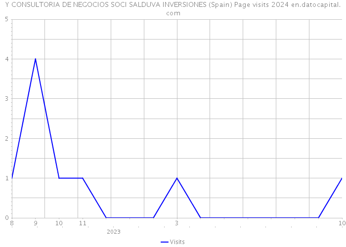 Y CONSULTORIA DE NEGOCIOS SOCI SALDUVA INVERSIONES (Spain) Page visits 2024 