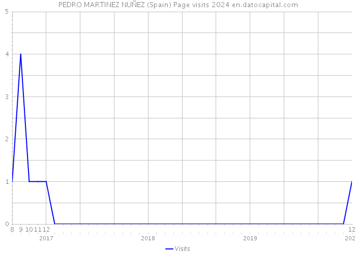 PEDRO MARTINEZ NUÑEZ (Spain) Page visits 2024 