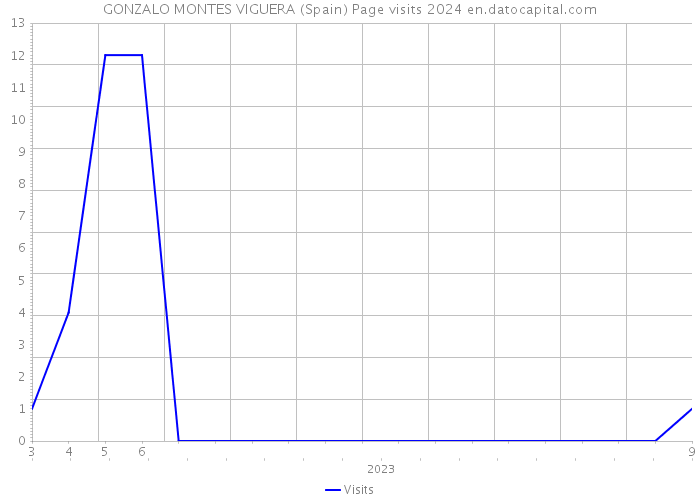 GONZALO MONTES VIGUERA (Spain) Page visits 2024 