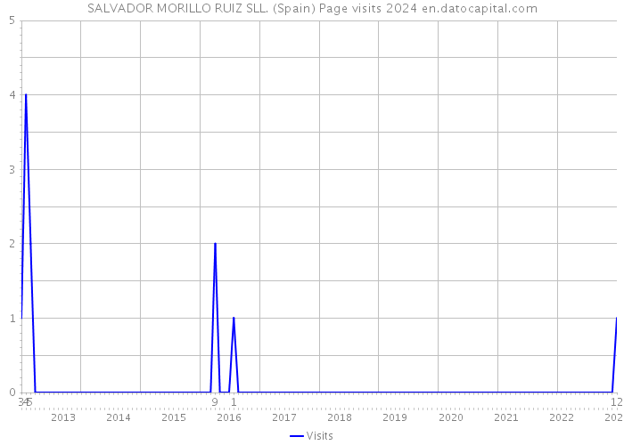 SALVADOR MORILLO RUIZ SLL. (Spain) Page visits 2024 