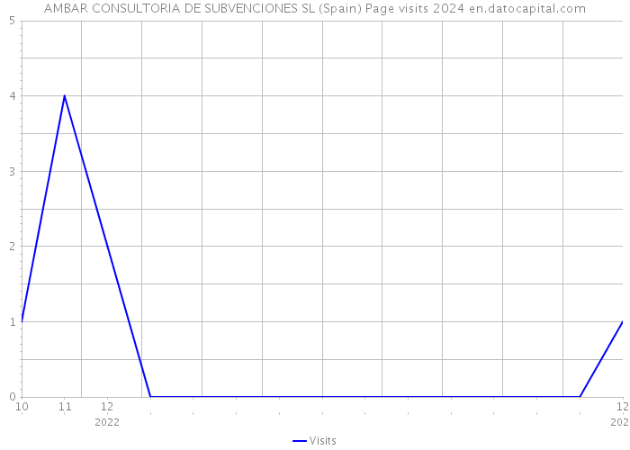 AMBAR CONSULTORIA DE SUBVENCIONES SL (Spain) Page visits 2024 