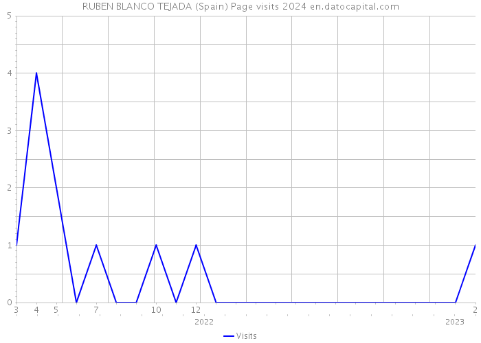 RUBEN BLANCO TEJADA (Spain) Page visits 2024 