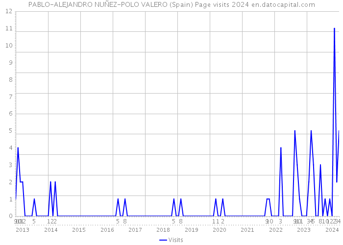 PABLO-ALEJANDRO NUÑEZ-POLO VALERO (Spain) Page visits 2024 